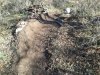 2013-01-26 09.48.19.jpg