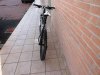 DSC00441.jpg