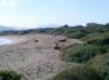 Foto0106.jpg