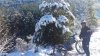 DSC_0015.jpg