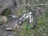 Foto0111.jpg