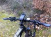 IMG_1921.jpg