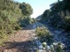 DSCN2321.jpg