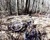 vlcsnap-2013-02-10-21h43m00s246.jpg