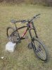 DSC00313.jpg