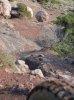 DSCN1664.jpg