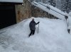 IMG_0759.jpg