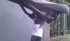 IMAG0555.jpg