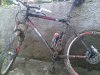 IMG-20121215-00332.jpg