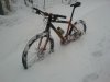 IMG_20130119_152501.jpg