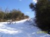 100_3896.jpg