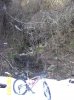 100_3899.jpg
