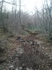 2013-02-17 16.32.54.jpg