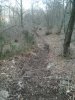 2013-02-17 16.32.34.jpg