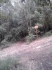 2013-02-24 13.55.21.jpg