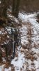 DSC_0102.jpg