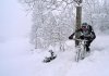 varana neve.jpg