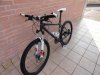 DSC00439.jpg