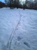 Foto0392 rid.jpg