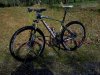 IMG_20130224_145955.jpg