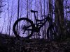 DSCN3981.jpg