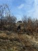 DSCN0208.jpg