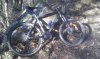 IMAG0567.jpg