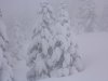 neve di primavera 010.jpg