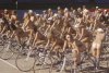 bicyclerace1024x768-e1326848037282[1].jpg