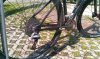 IMAG0298.jpg