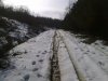 2013-03-01 10.38.45.jpg