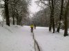 2013-02-23 12.21.33.jpg