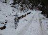 20130323_144504_830x622.jpg