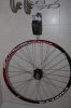 bici_1102--6.jpg