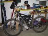 SDC12428.jpg