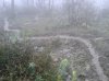2013-03-30 10.25.10.jpg