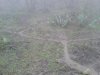 2013-03-30 10.29.40.jpg