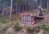 IMG-20130330-00294_2.jpg