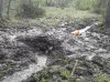2013-04-06 09.49.11.jpg