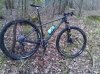 IMG01188-20130406-1518.jpg