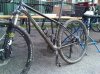 IMG01196-20130406-1606.jpg