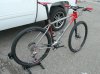 DSCN5058-M.jpg