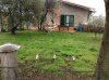 IMG_20130408_130519.jpg