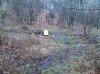 IMG_20130408_132408.jpg
