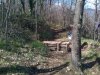 IMG-20130412-00156.jpg