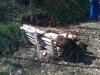 IMG-20130412-00158.jpg