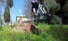 IMG-20130413-WA0003_20130413T122358-190.jpg