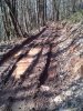 IMG01225-20130414-0936.jpg