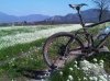 IMG01228-20130414-1049.jpg