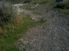 IMG_20130415_173720.jpg